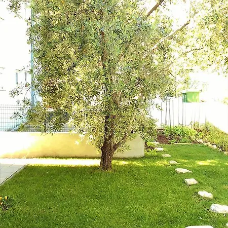Apartament Doda